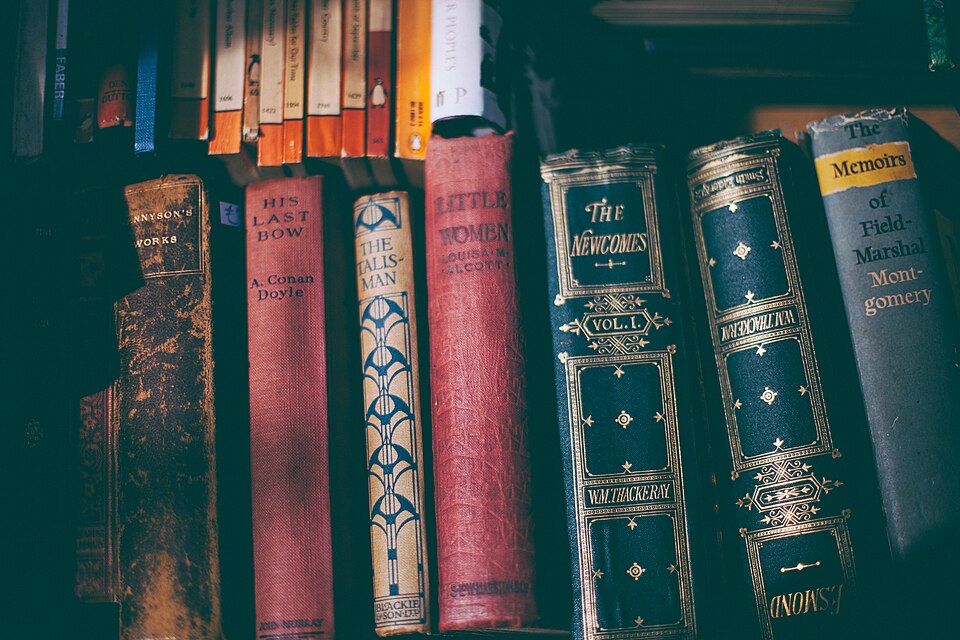 Libros colocados en una estantería.
