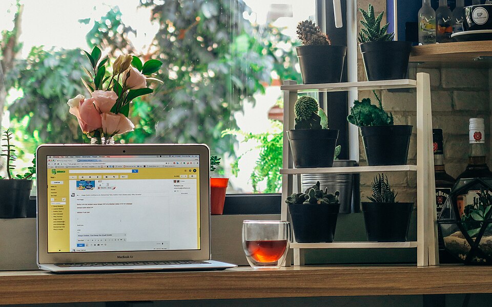 Portátil en un escritorio con plantas.